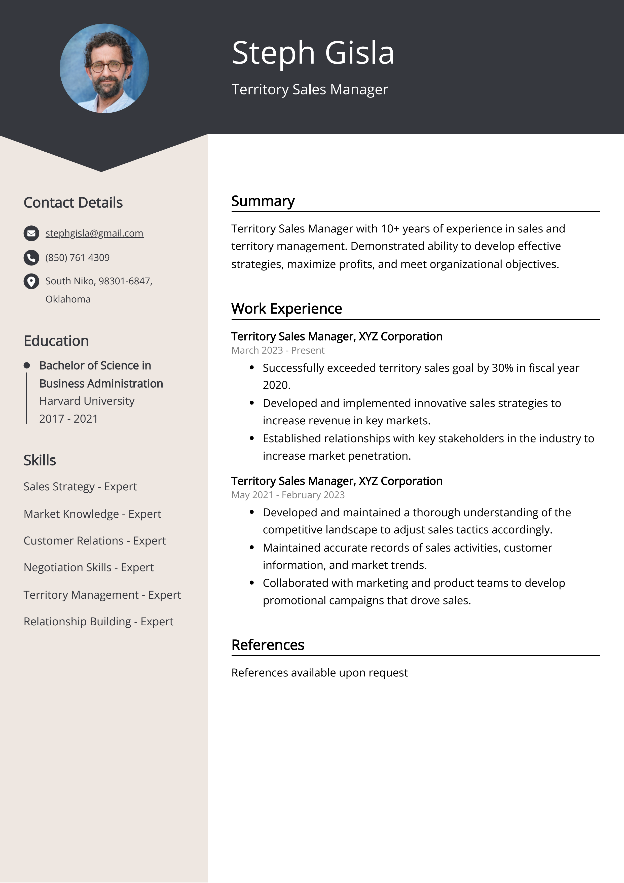 Territory Sales Manager Resume Example