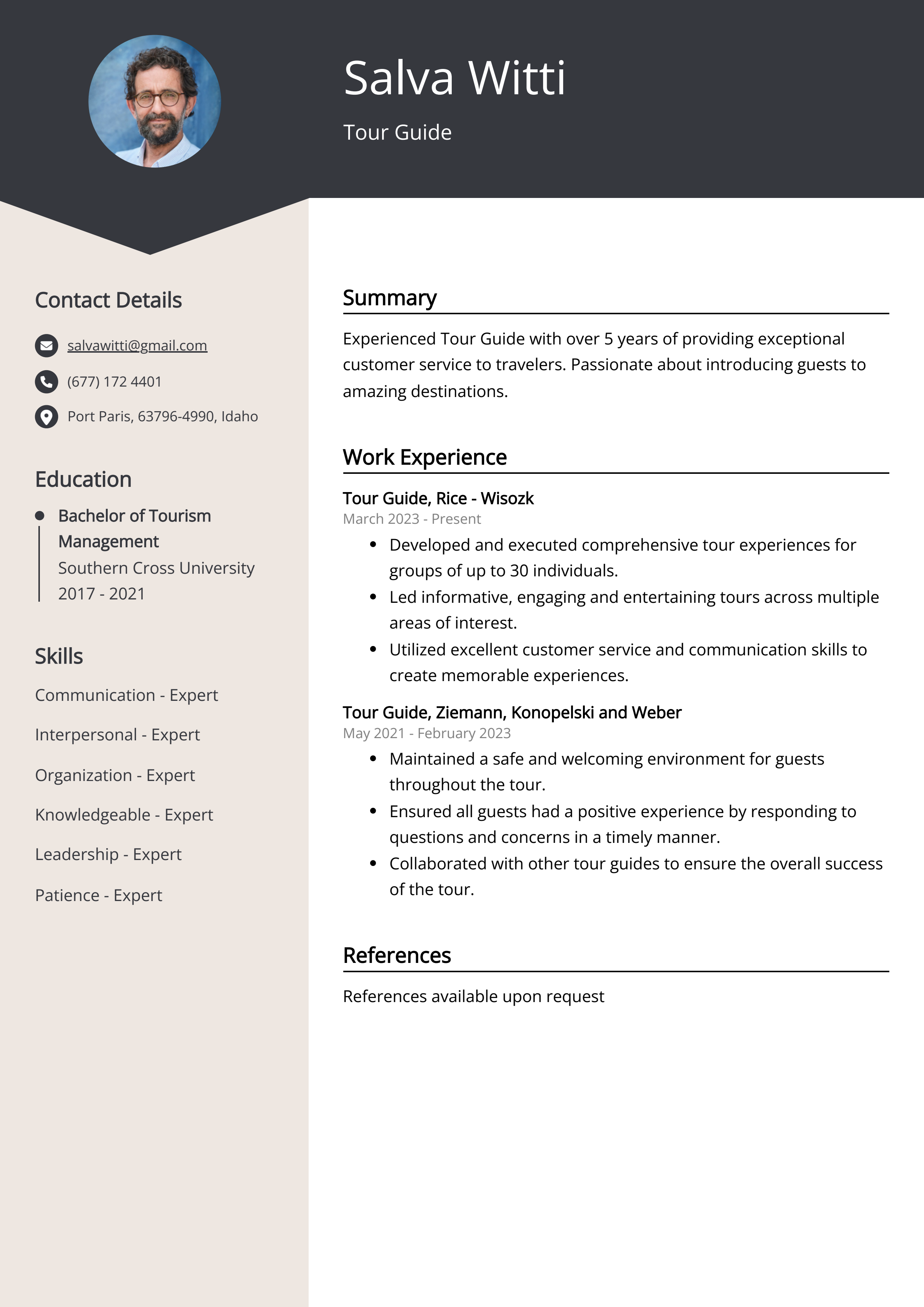 Experienced Tour Guide Resume Example