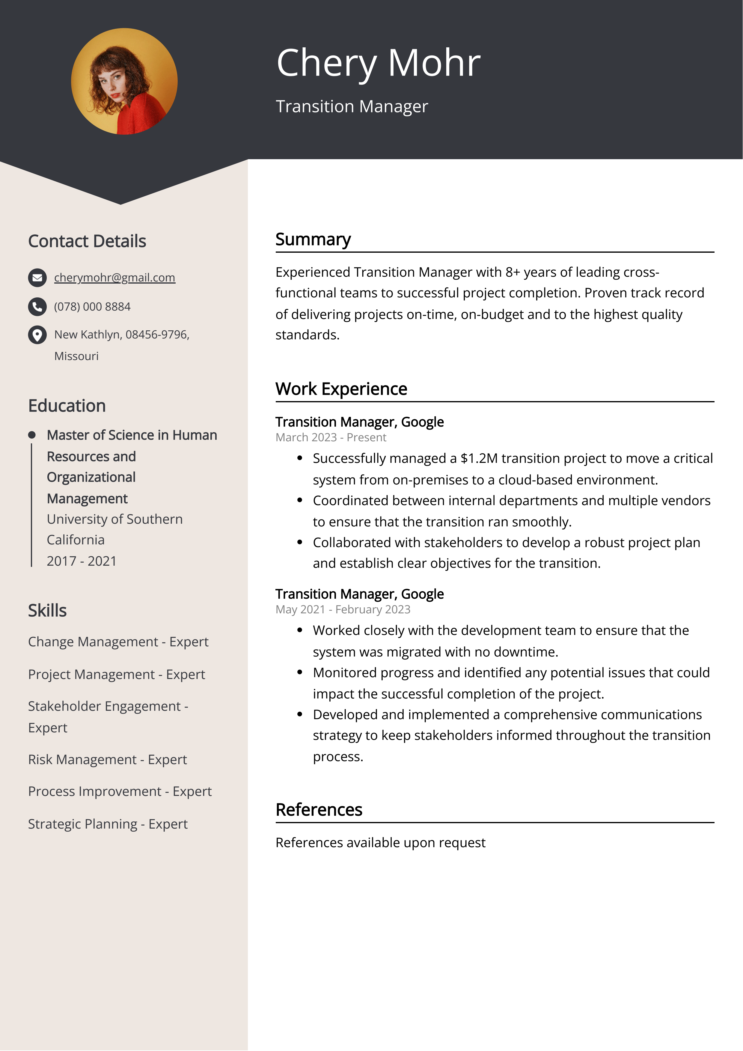 Transition Manager Resume Example