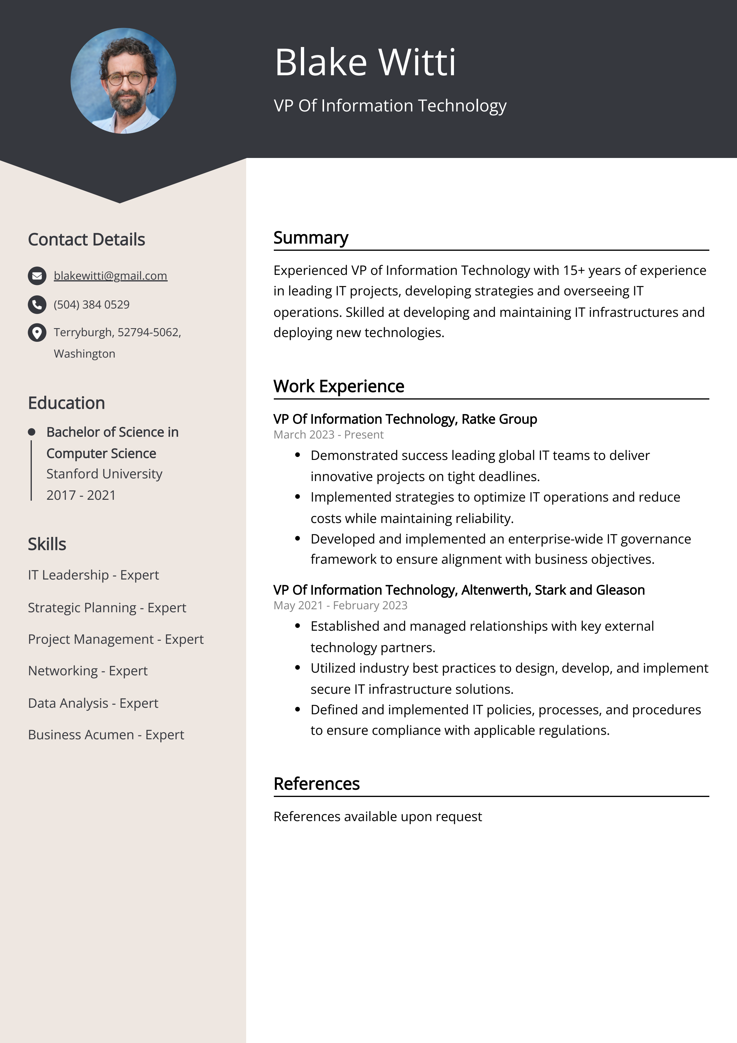 VP Of Information Technology Resume Example