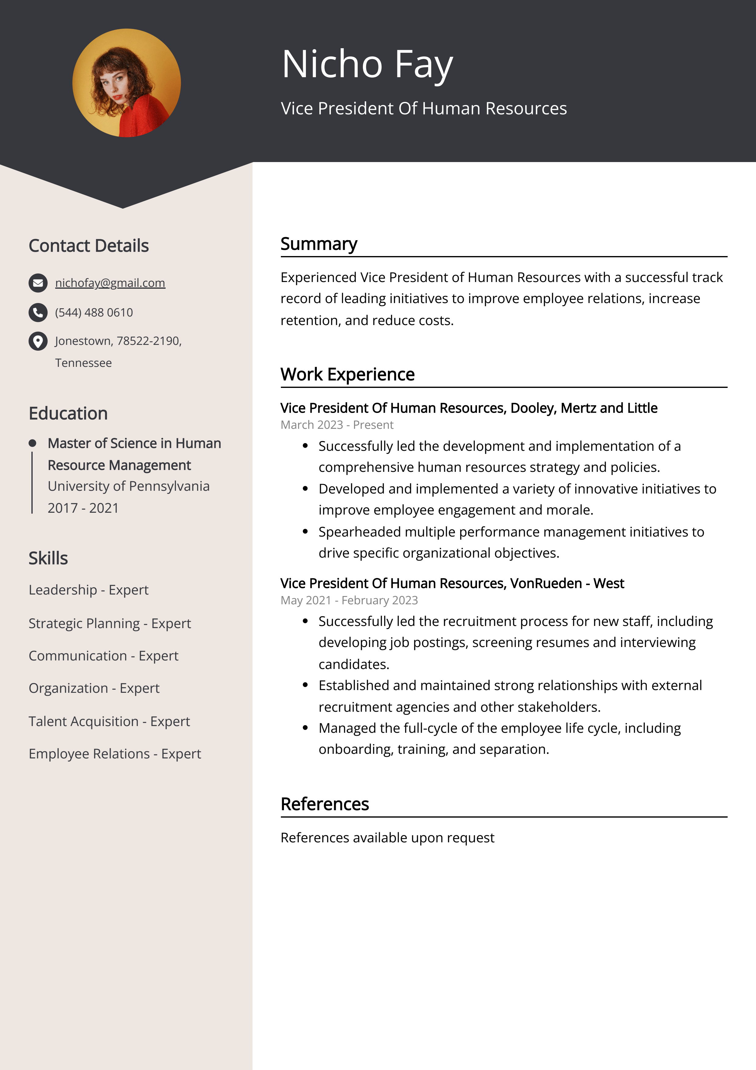 Vice President Of Human Resources Resume Example