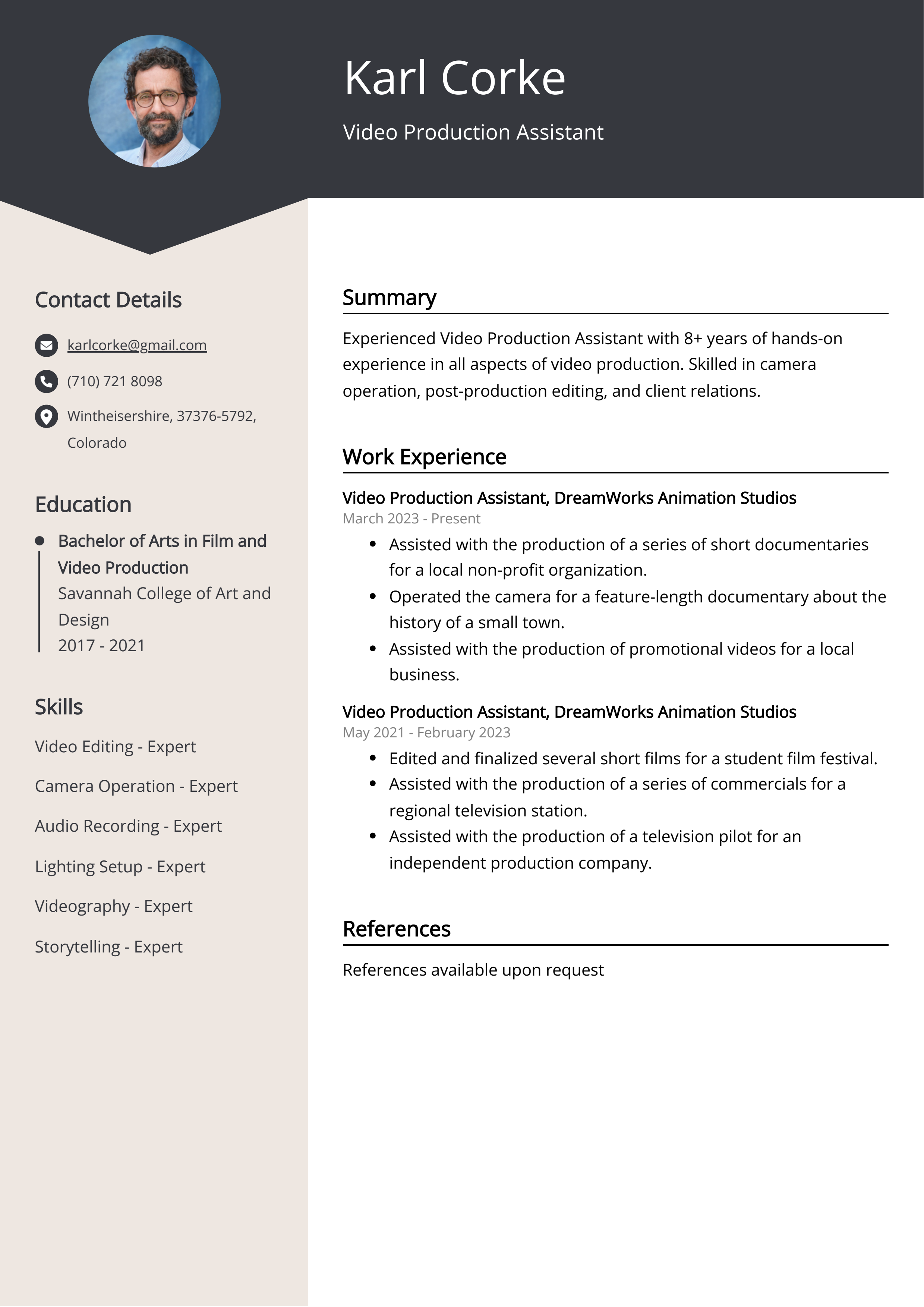 Video Production Assistant Resume Example