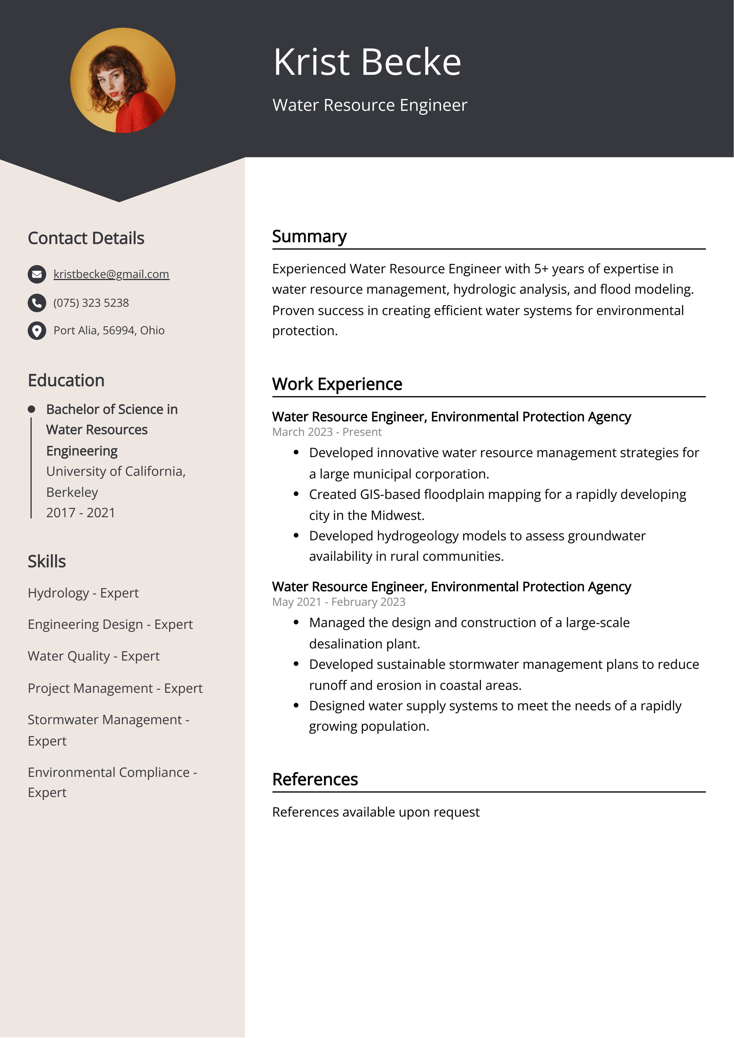 Water Resource Engineer Resume Example