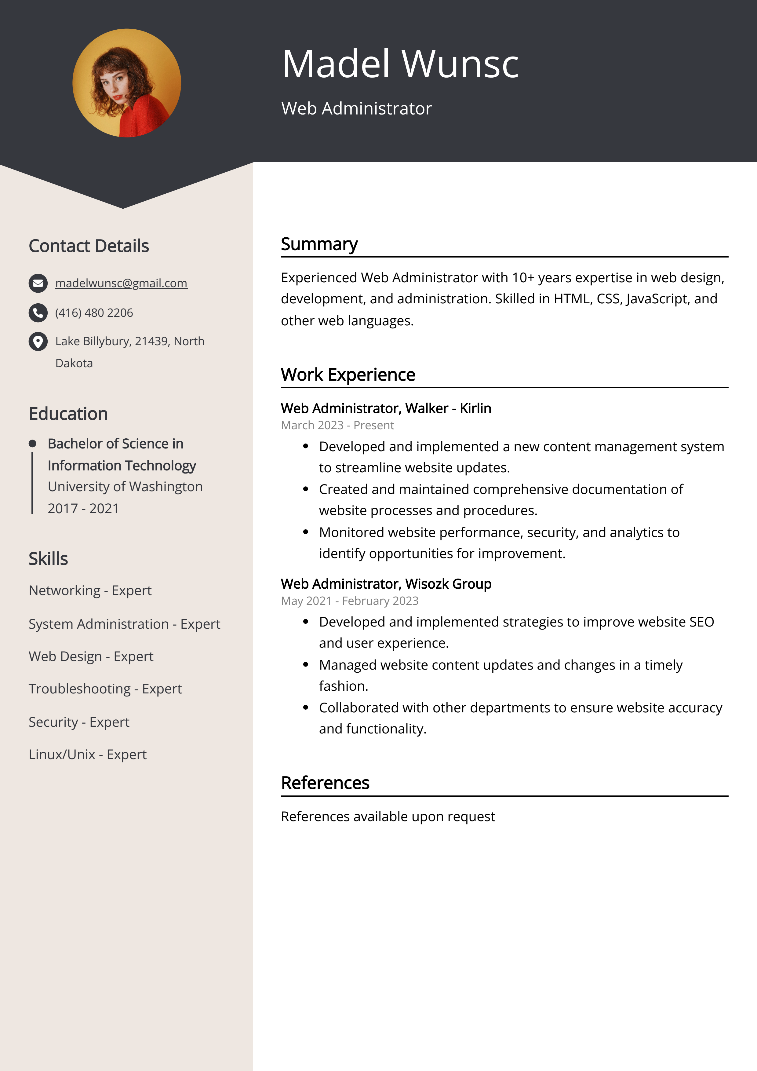 Web Administrator Resume Example