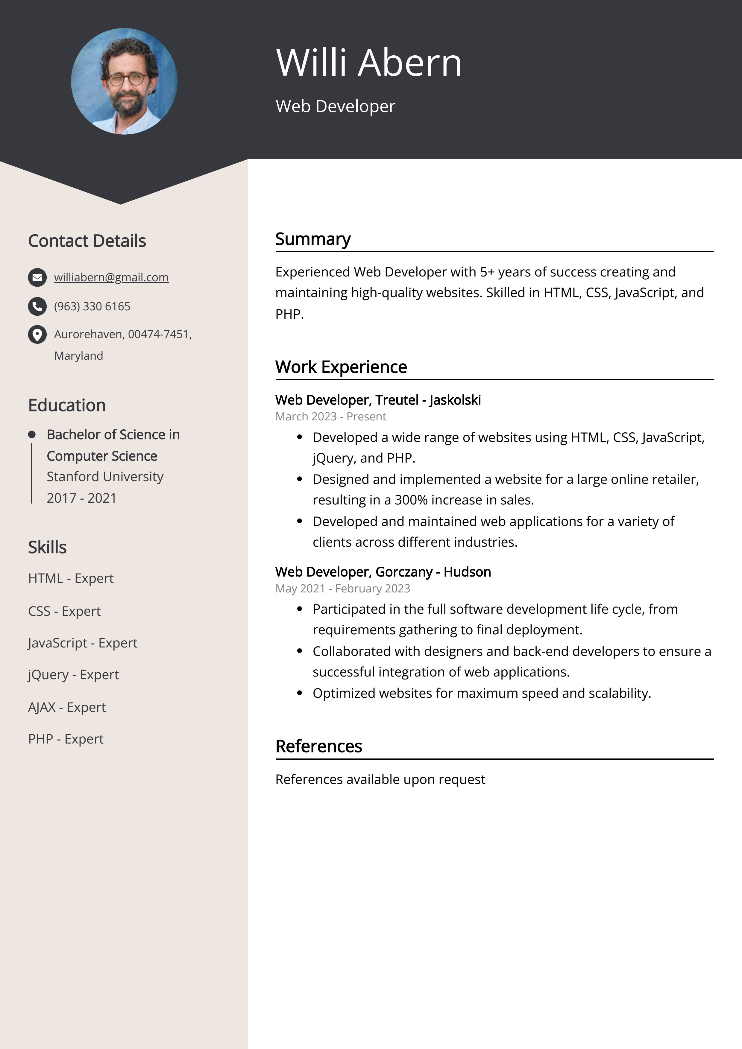 Web Developer Resume Example