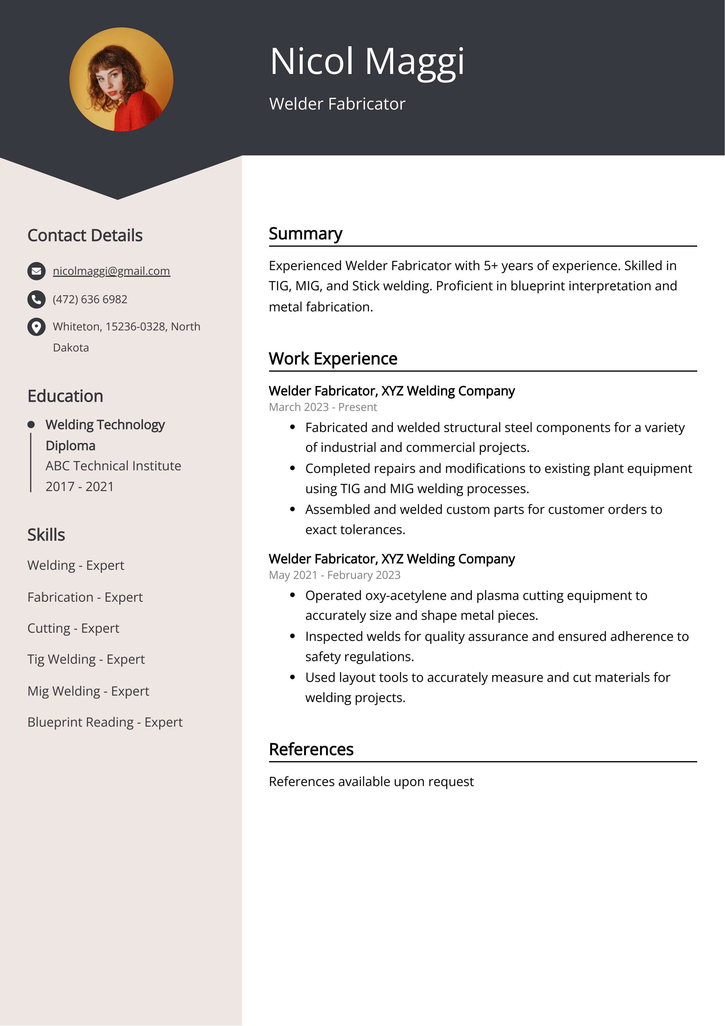 Welder Fabricator Resume Example