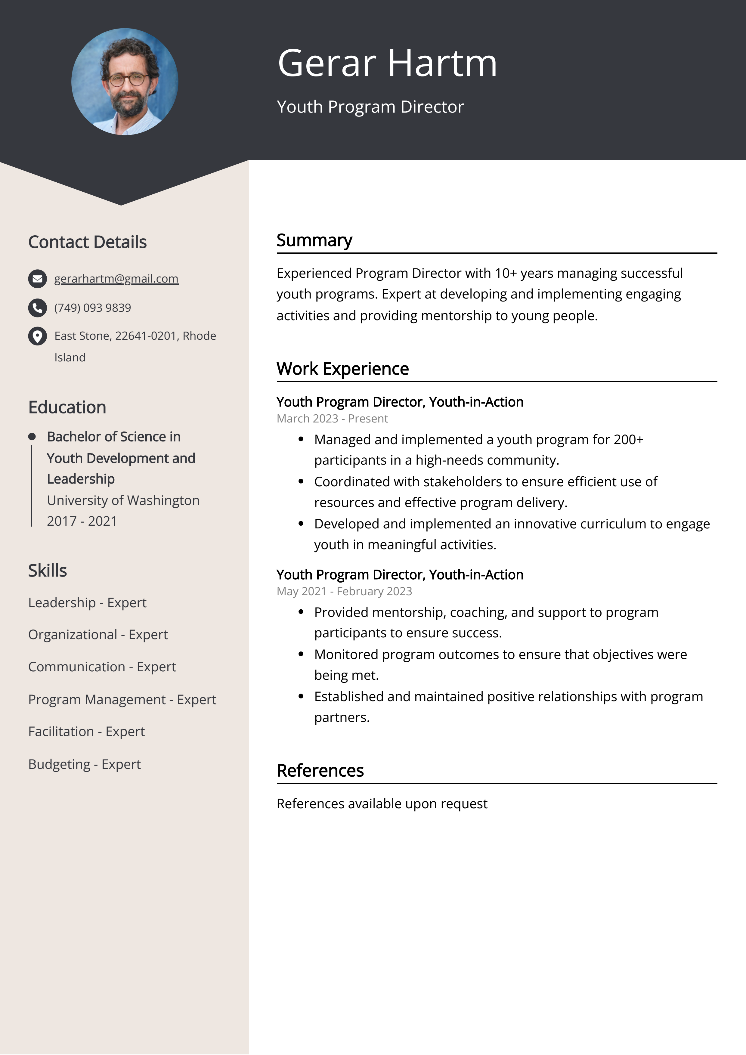 Youth Program Director Resume Example