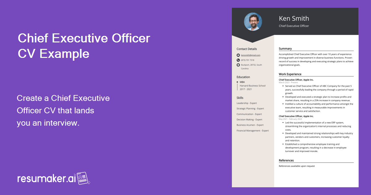 Chief Executive Officer CV Example For 2024   Chief Executive Officer CV Example 