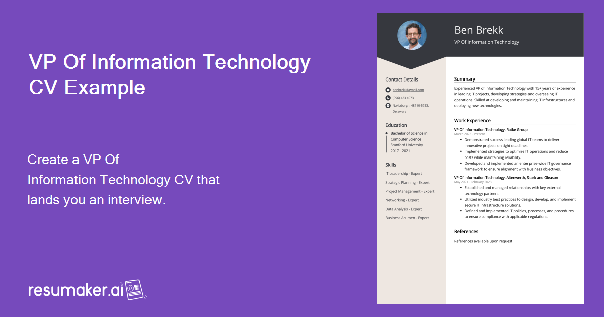 VP Of Information Technology CV Examples & Guide